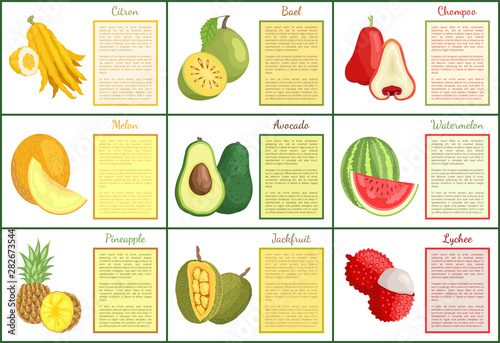 Citron and chompoo posters set with text sample vector. Durian lychee and jackfruit, pineapple and avocado, watermelon and melon bael. Tropical fruits
