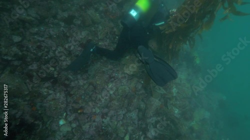 Wallpaper Mural Close-Up: Air Bubbles Coming From an Oxygen Tank on a Scuba Diver Exploring a Reef - Monterey, CA Torontodigital.ca