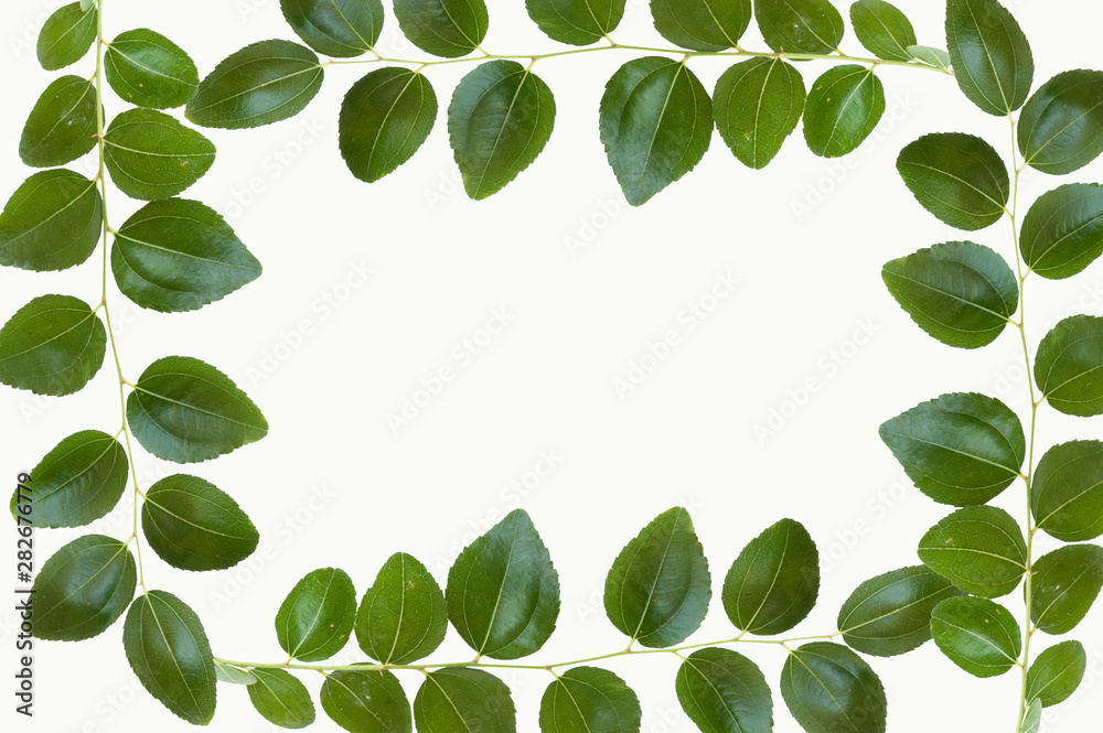 advertising banner copy space with leaf advertising banner copy space with leaf