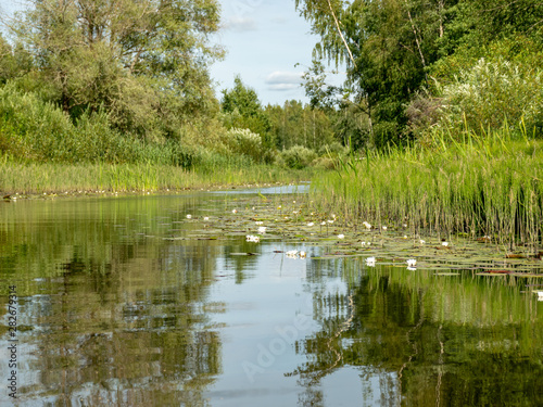 Landscape with Seda River, which flows into Burtnieki Lake. Beautiful sunny summer day, Latvia