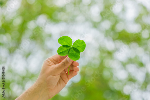 Vierblättriges Kleeblatt in der Hand