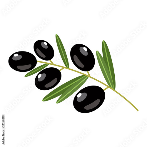 Black olives on a white background. Vector illustration
