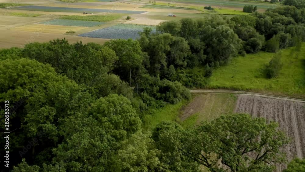 forest and agriculture shot with farmer working at the distance taken from aerial drone
