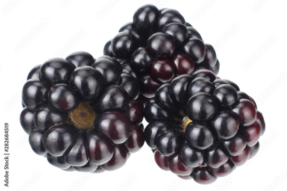 blackberries isolated on a white background. macro blackberries isolated on a white background. macro