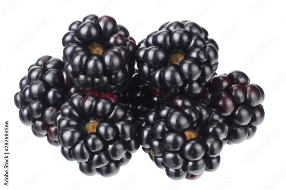 blackberries isolated on a white background. macro