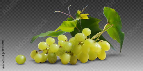 A branch of yellow ripe grapes with leaves on a gray checkered background.  3D vector. High detailed realistic illustration.