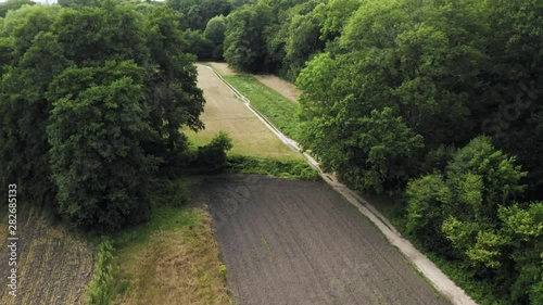 road in the forest and the fields at the countryside drone aerial shot