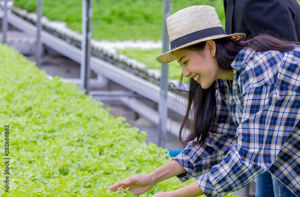 Asian women working in hydroponic vegetable farms happily She is checking the quality of organic vegetables. Agriculture for health Concept