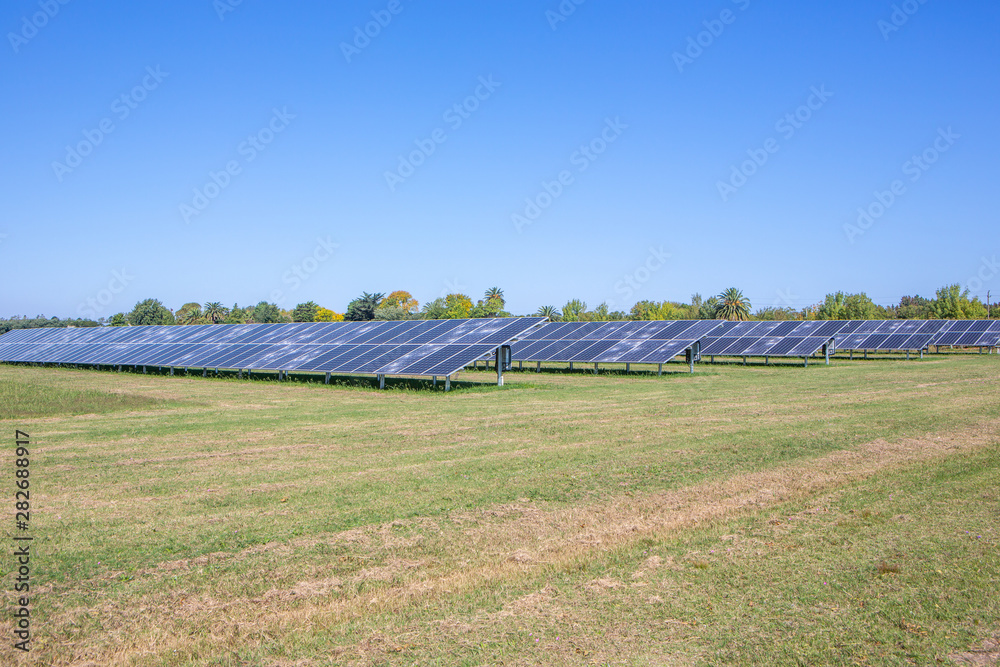 Landscape view of solar panels in farm using clean and renewable energy on sunny summer day.  Environment concept, zero carbon emission, clean electricity and future.