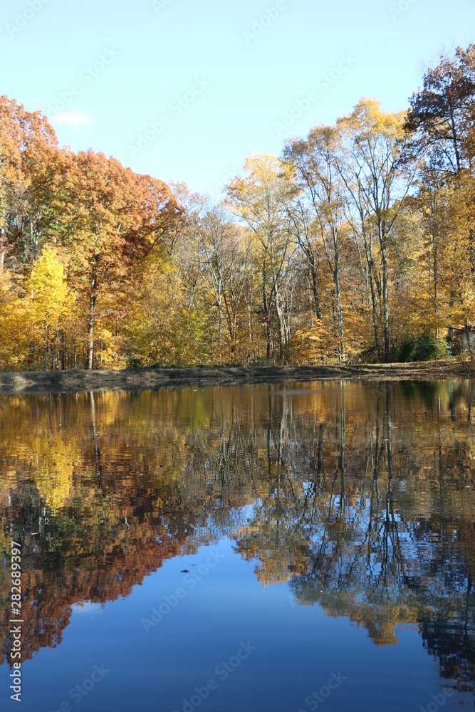 Park views, Oliver Winery, Indiana