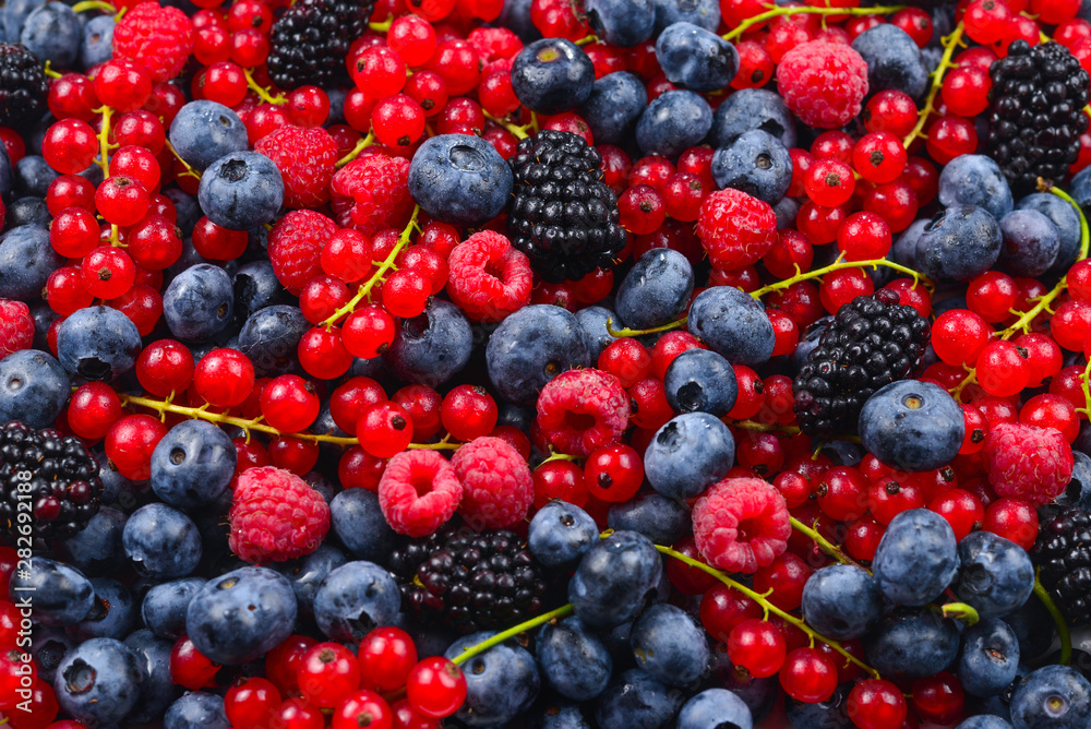 Blackberry, raspberry, blueberry,  red currant and mint background.
