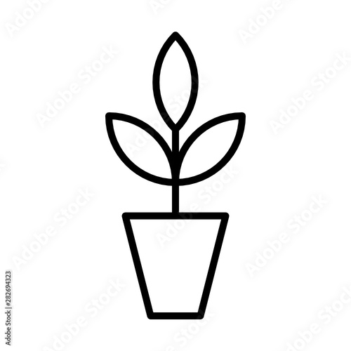 Herb