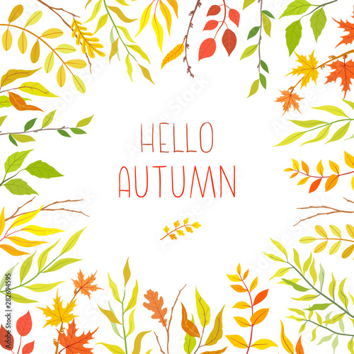 Herbal mix vector frame. Hand painted plants, branches and leaves on white background. Natural fall card design.