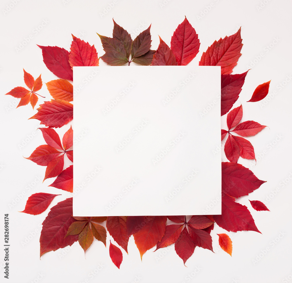 Red autumn fallen leaves with square blank space inside