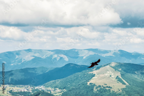 View from Prasiva peak, Low Tatras, Slovakia, flying bird of prey