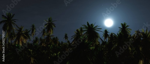 Fototapeta Naklejka Na Ścianę i Meble -  Moon over palm trees. Night jungle, 