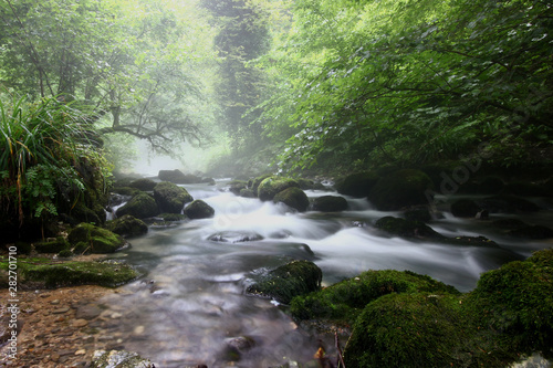 Fototapeta Naklejka Na Ścianę i Meble -  landscape with the flow of a mountain river against a misty forest