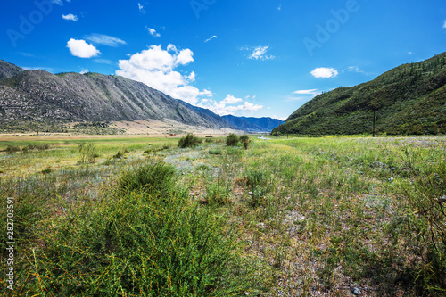 Landscape at Cardona Kur - Kechu. Altai Republic  Russia