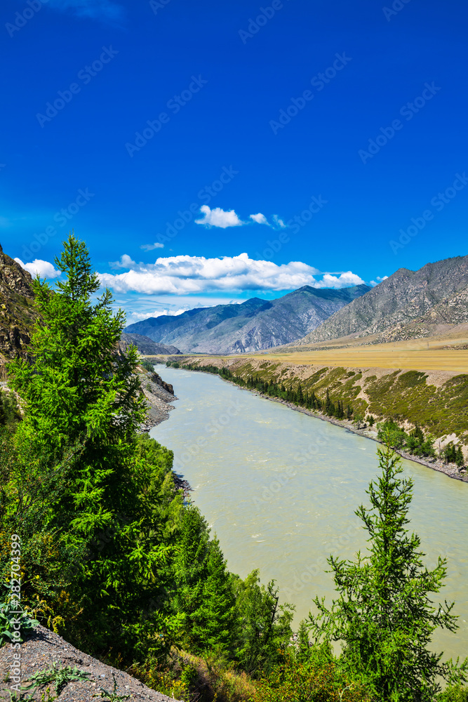 The River Katun. Gorny Altai, Russia The River Katun. Gorny Altai, Russia