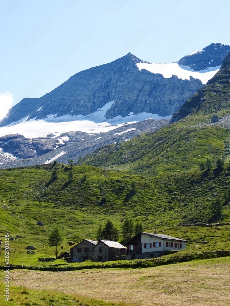 The nature, the woods and the glaciers of the Swiss Alps during a summer day at SimplonPass - August 2019.