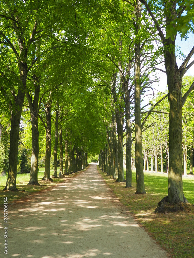 Fototapeta premium Forests next to the orangerie palace Potsdam Germany
