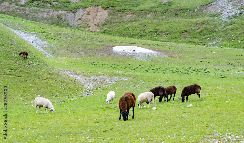 Obraz premium Innsbruck Austria