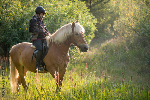 Woman horseback riding in forest and meadow
