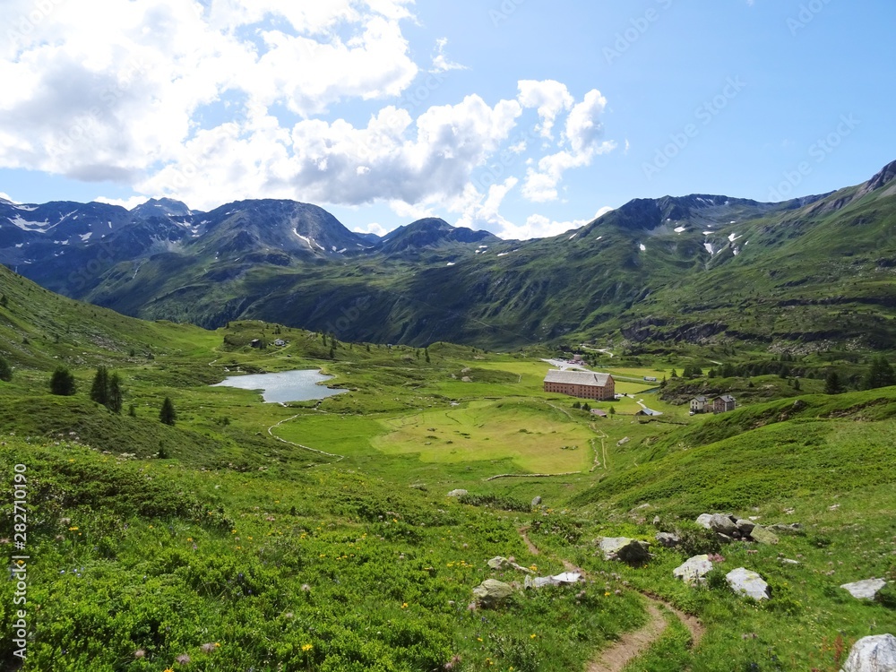 Fototapeta premium The nature, the woods and the glaciers of the Swiss Alps during a summer day at SimplonPass - August 2019.
