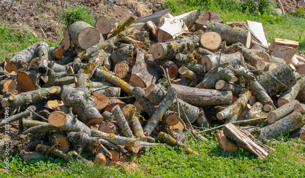 Stacked and cut wood ready to be stored and used to burn Stacked and cut wood ready to be stored and used to burn