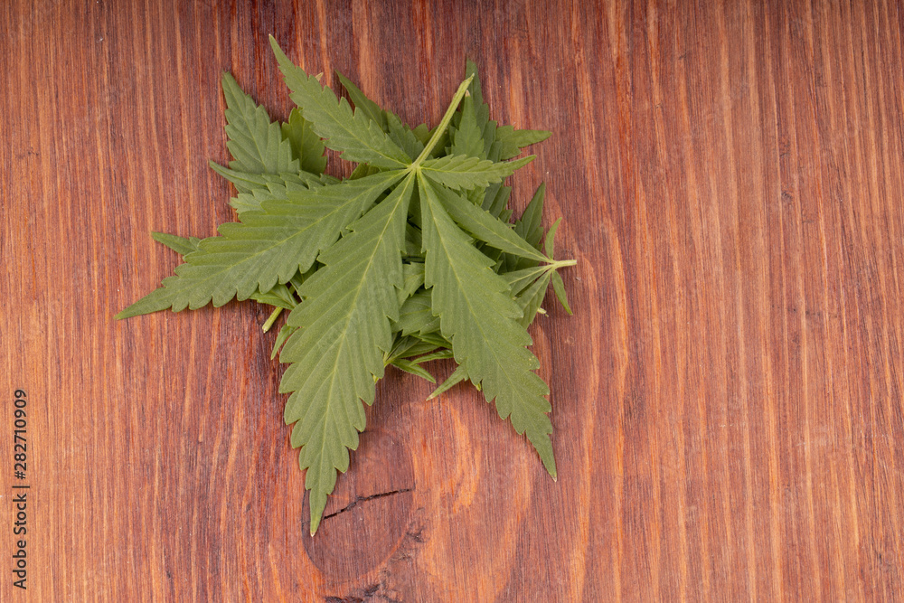cannabis leaves on wooden background cannabis leaves on wooden background