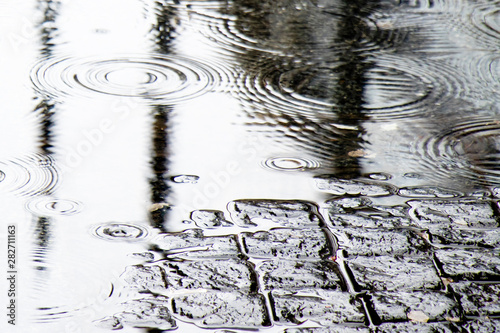 Fototapeta Detail of  rain drops in a puddle