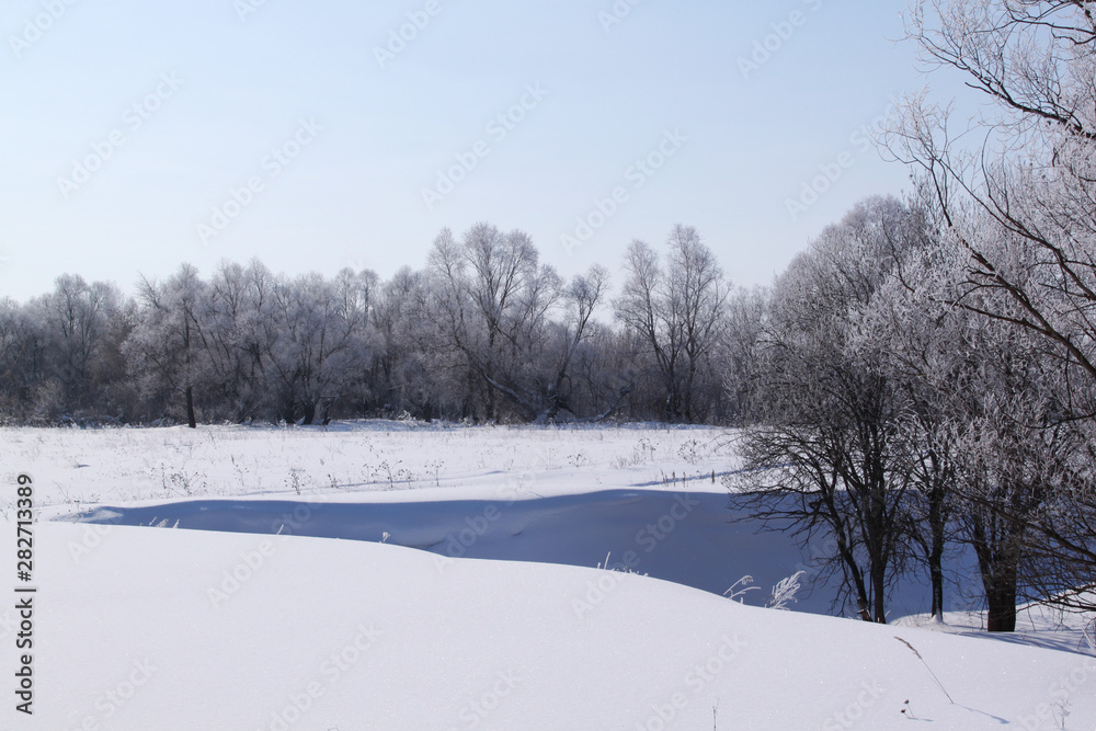 Obraz premium Winter landscape. Frost on the trees, blue sky, sunny day.