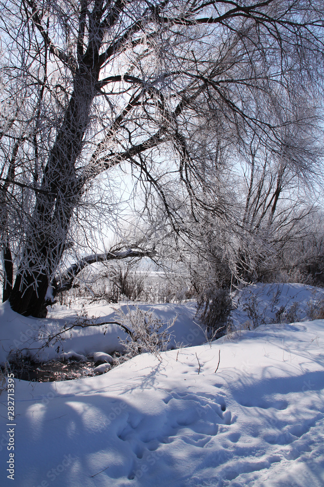 Winter landscape. Frost on the trees, blue sky, sunny day. Winter landscape. Frost on the trees, blue sky, sunny day.