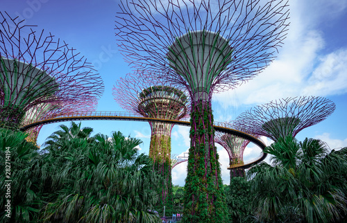 Gardens by the bay with the sky view