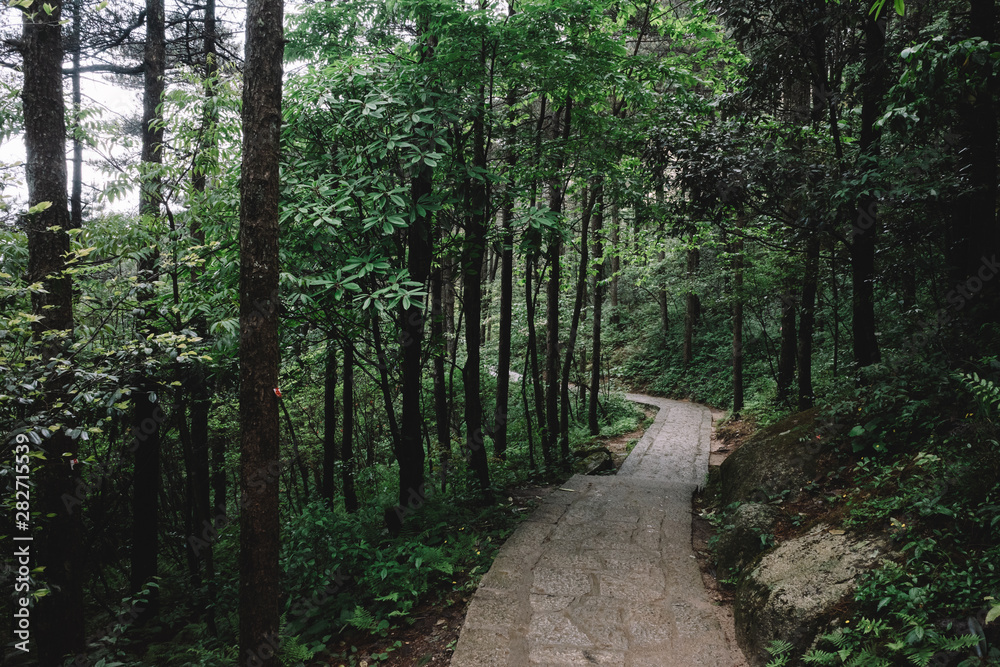 Obraz premium Path in forest in Mingyue Mountain, Jiangxi, China