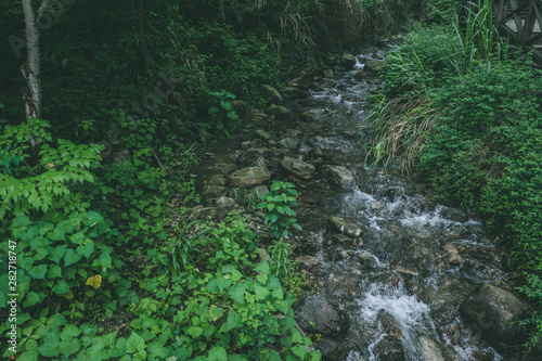 River in Mingyue Mountain  Jiangxi  China