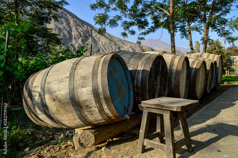 wine barrels in a cellar wine barrels in a cellar