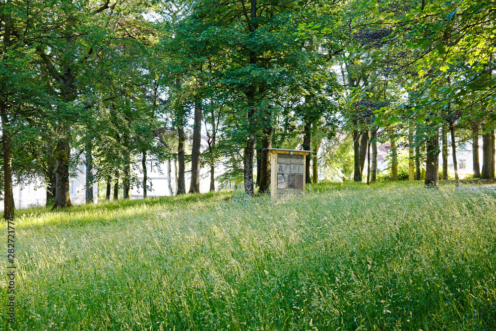 Obraz premium Lüdenscheid Loher Wäldchen im Sommer