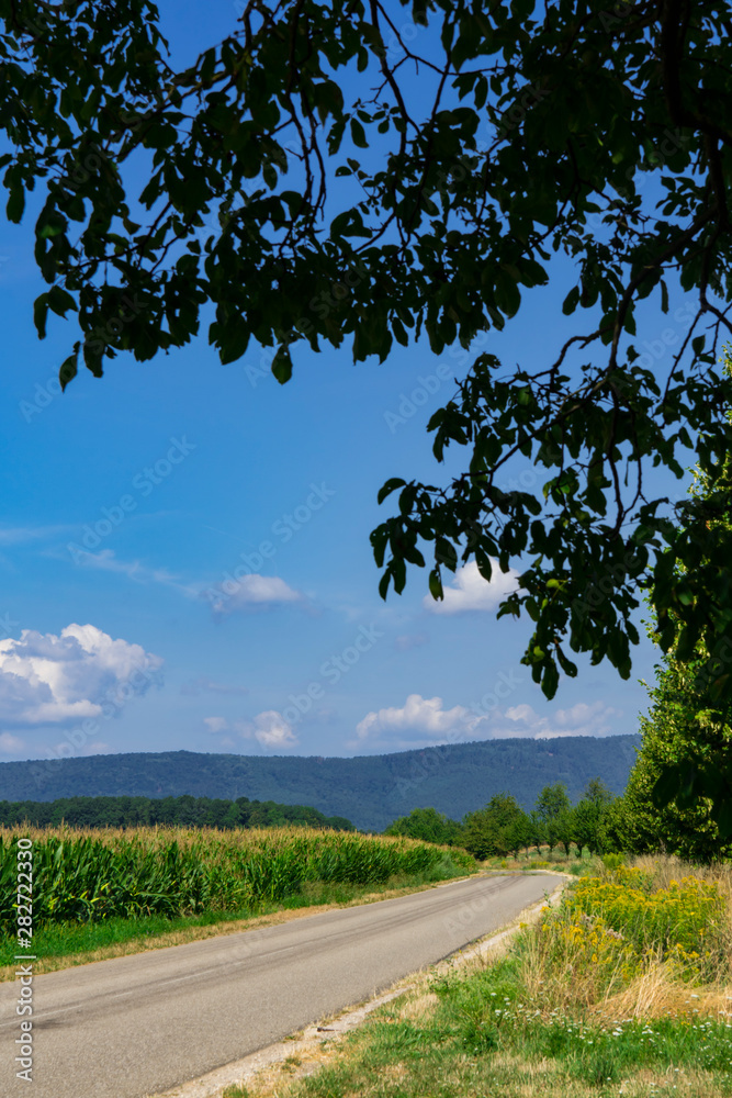 asphalt road along the meadows of Hunspach, France