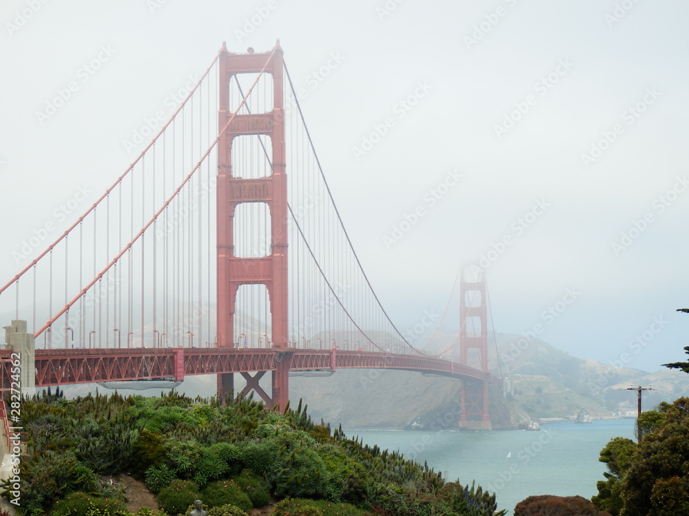 Fototapeta premium OLYMPUS DIGITAL CAMERA