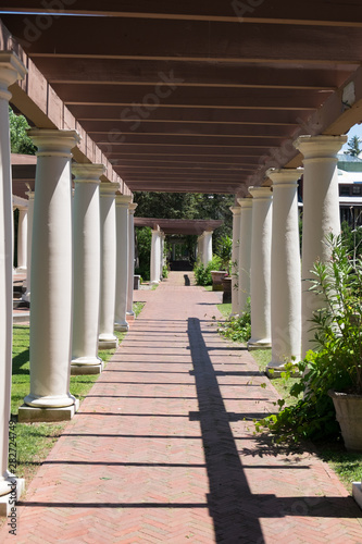 Trellis