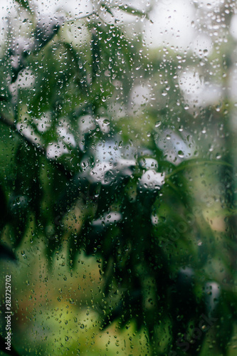 Autumn rain on the window.
