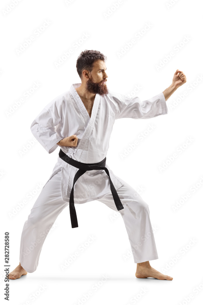 Man in kimono practicing martial arts Man in kimono practicing martial arts