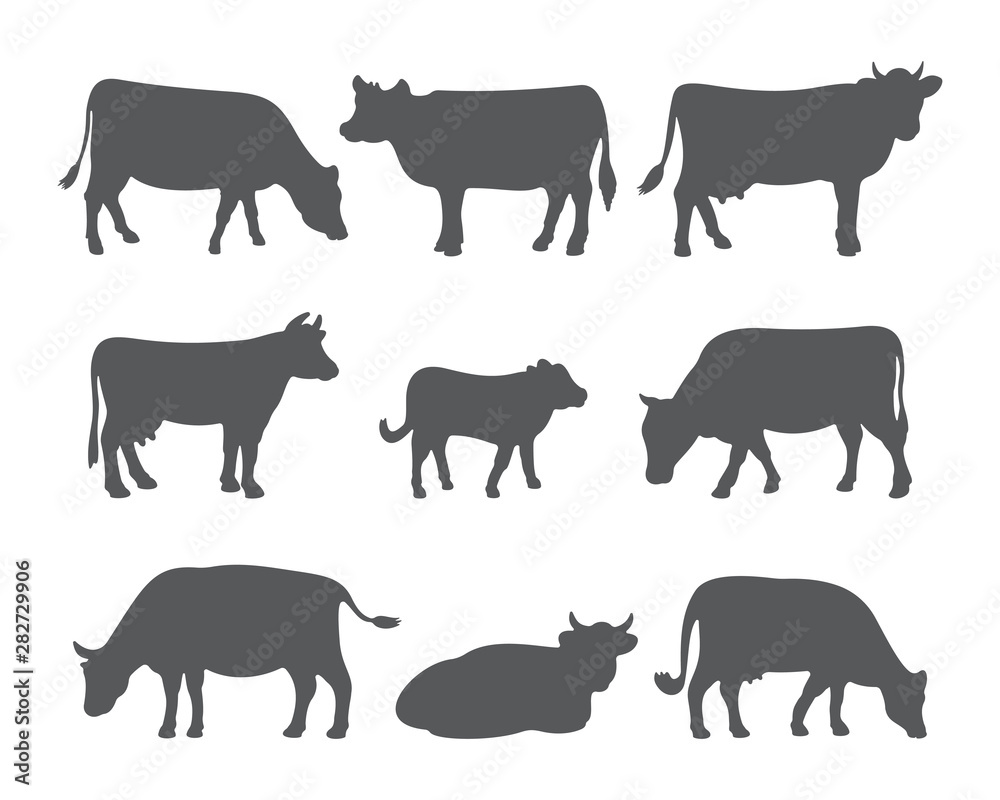 Vector cow and calf silhouettes in different poses. Set of cows isolated on white background.