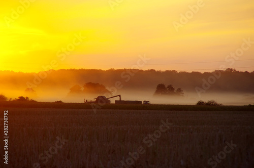 Silhouettes of working harvesters in field at sunset