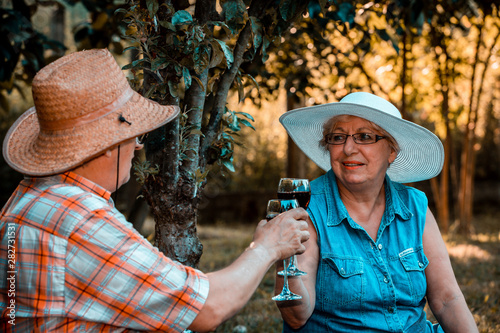 Happy senior woman and man drinking wine and enjoying romantic date © Jovica Varga