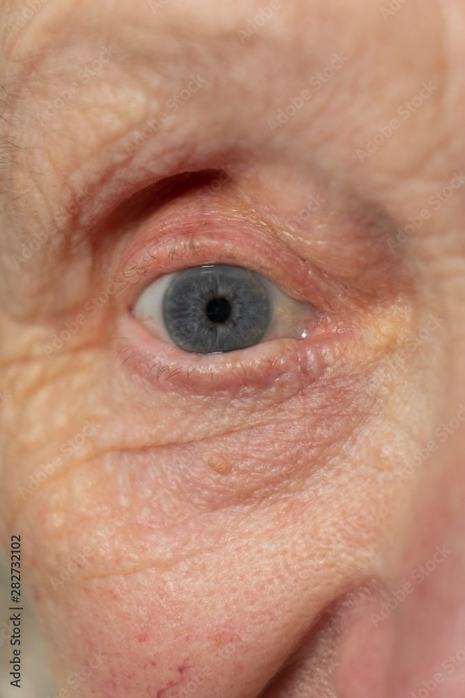 Portrait of a senior caucasian woman eye themes of retirement senior aging process portrait Portrait of a senior caucasian woman eye themes of retirement senior aging process portrait