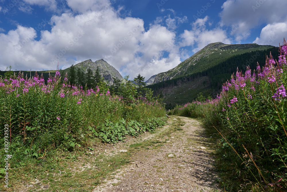 Sand road in High Tatra mountains in Slovakia, Picture taken in sunny summer day with white clouds. Tatra mountains is a highest mountain range in the Carpathian Mountains between Slovakia and Poland.