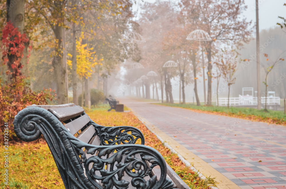 Foggy morning in empty autumn park. Copy space.