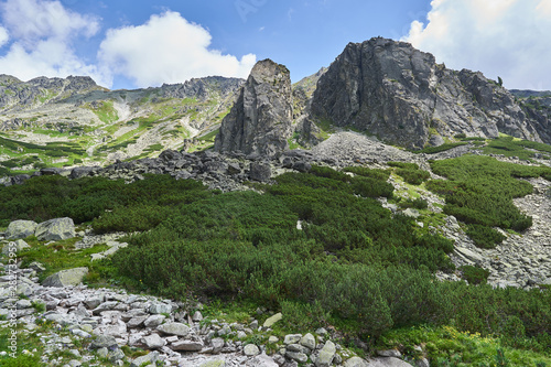 Landscape Picture form High Tatras mountains in Slovakia highest mountain range in Carpathian Mountains taken in summer sunny day with clouds on the sky. Walley with dwarf mountain pine virgin forest.